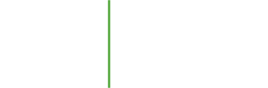 Velos Advisory